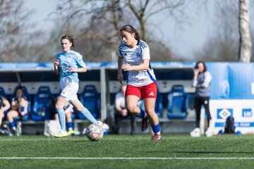 Bild 61 - F Hamburger SV 3 - Blau-Weiss 96 : Ergebnis: 5:1